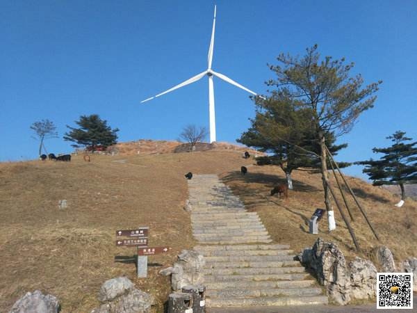 百里荒景区