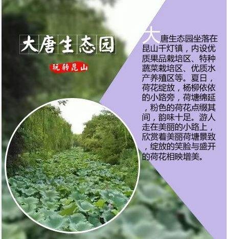 太原大唐生态园