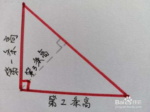 这分别是直角三角形的高. 锐角三角形的三条高线