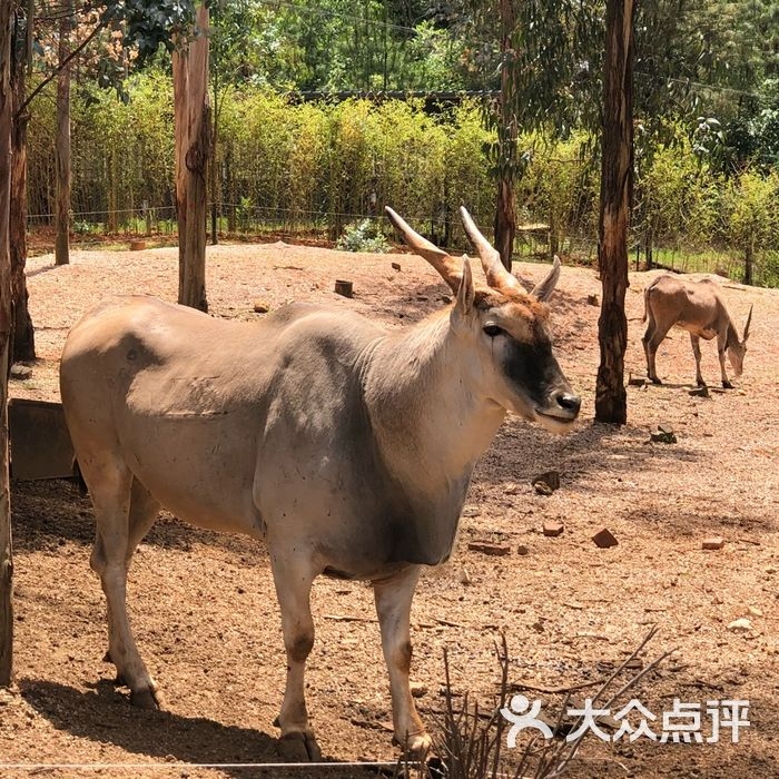 玉黛湖野生动物园