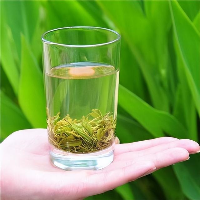绿茶一杯