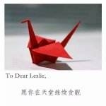 千纸鹤一步一步