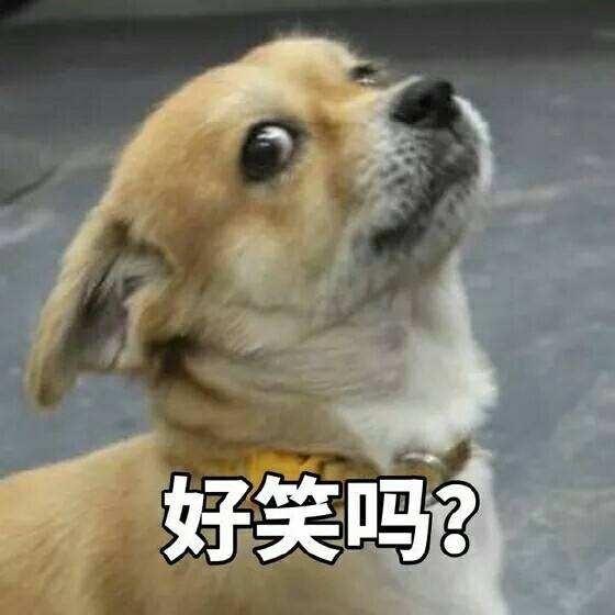 好笑图片搞笑