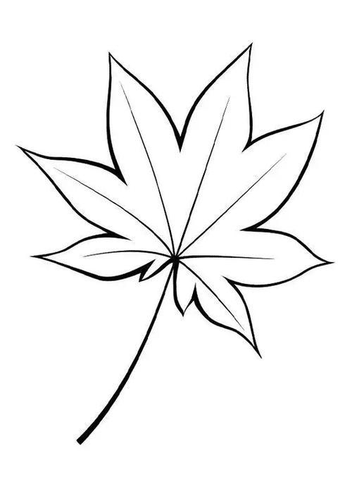 秋天的枫叶怎么画