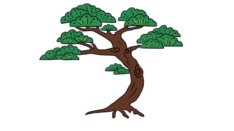 松树林怎么画简笔画