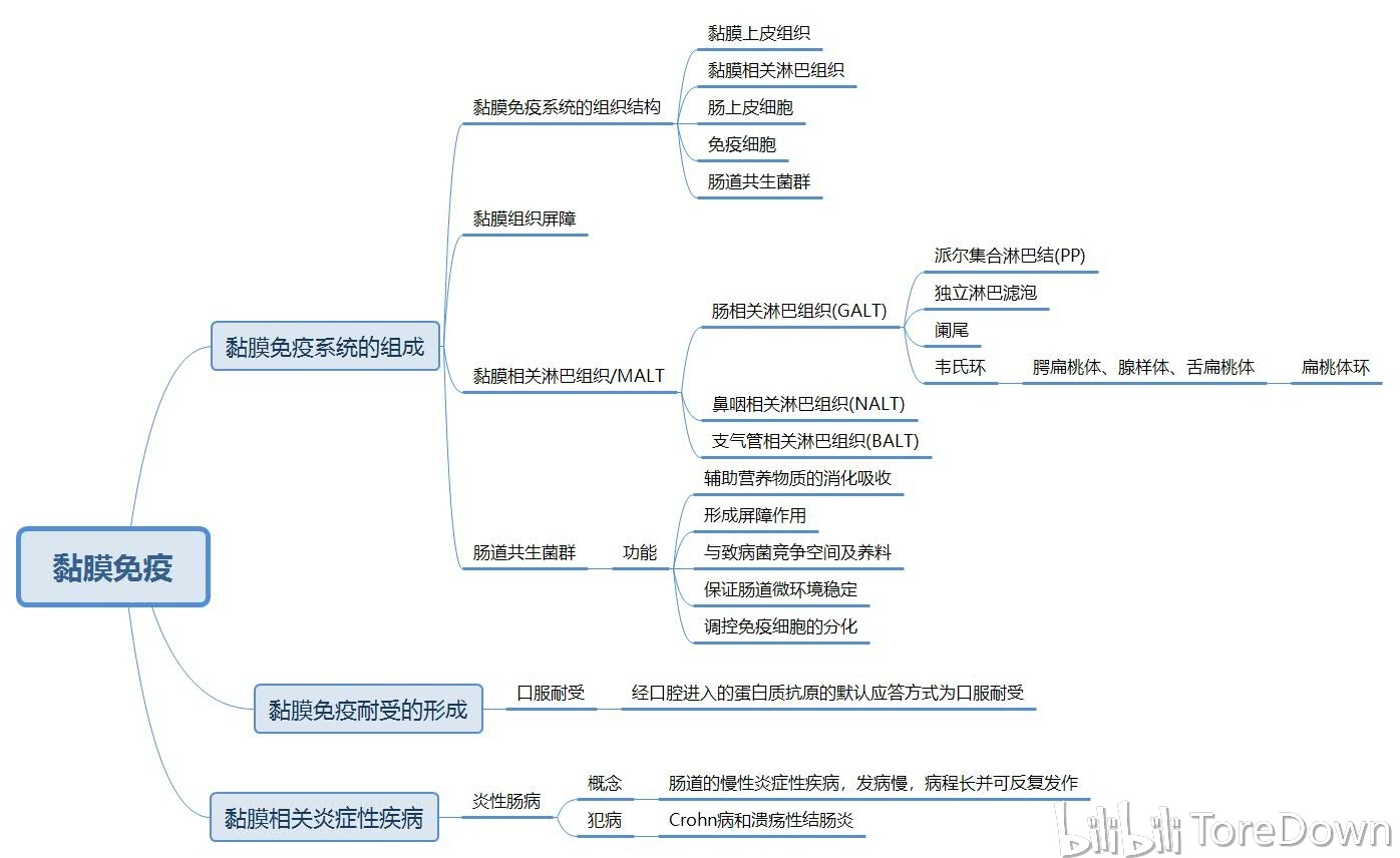 免疫调节的思维导图