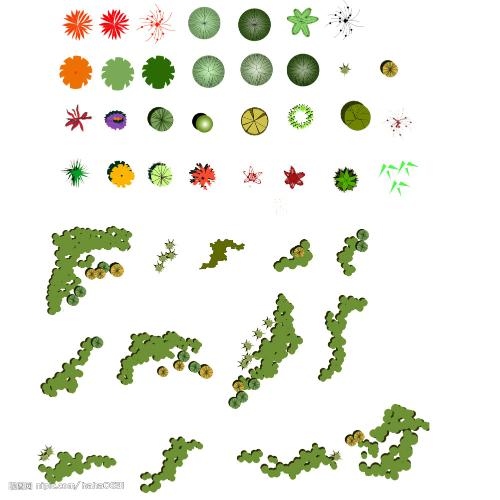 植物群植平面图