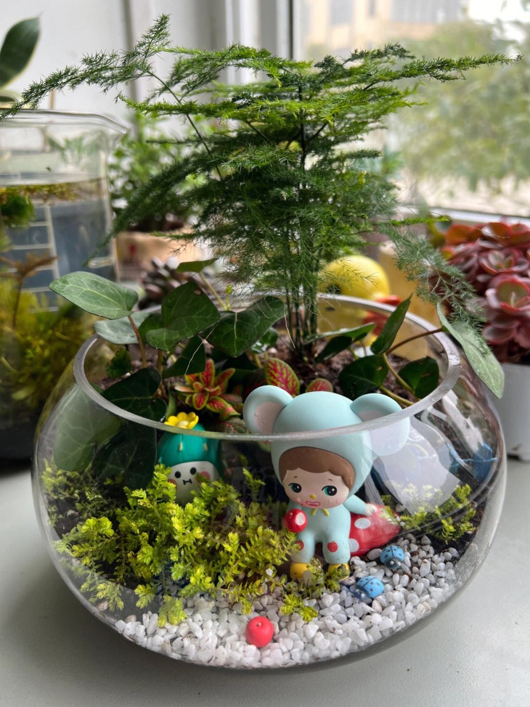 绿植盆栽diy diy绿植