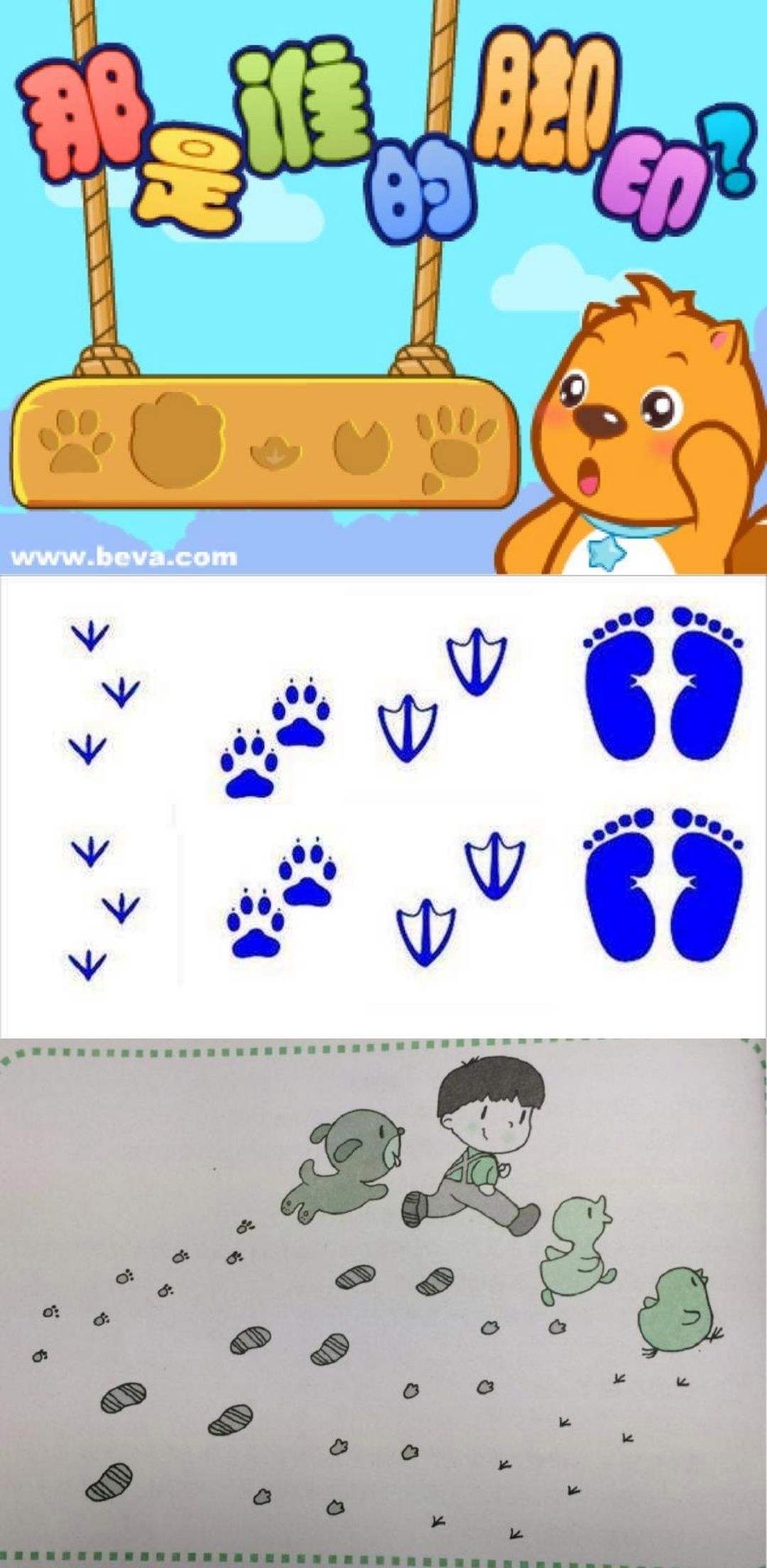 动物的脚印动物的脚剪影青蛙插画图片素材_ID:370652074-Veer图库