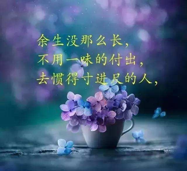 经典图片人生感悟