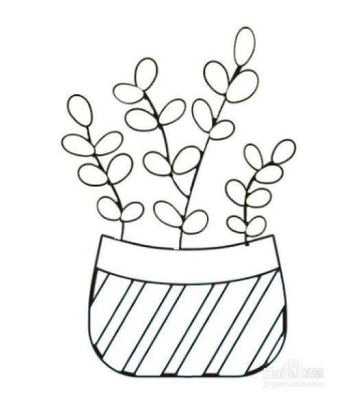 100种植物简笔画简单