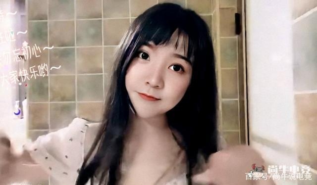 一条小团团全身照片
