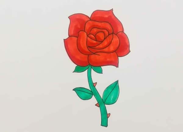 玫瑰花怎么画?样本