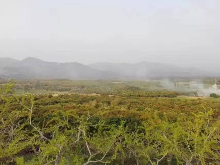 湖美村