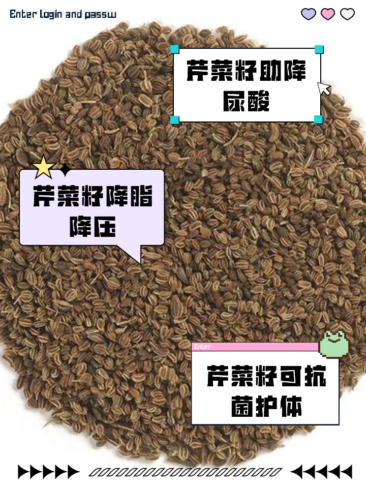 芹菜籽