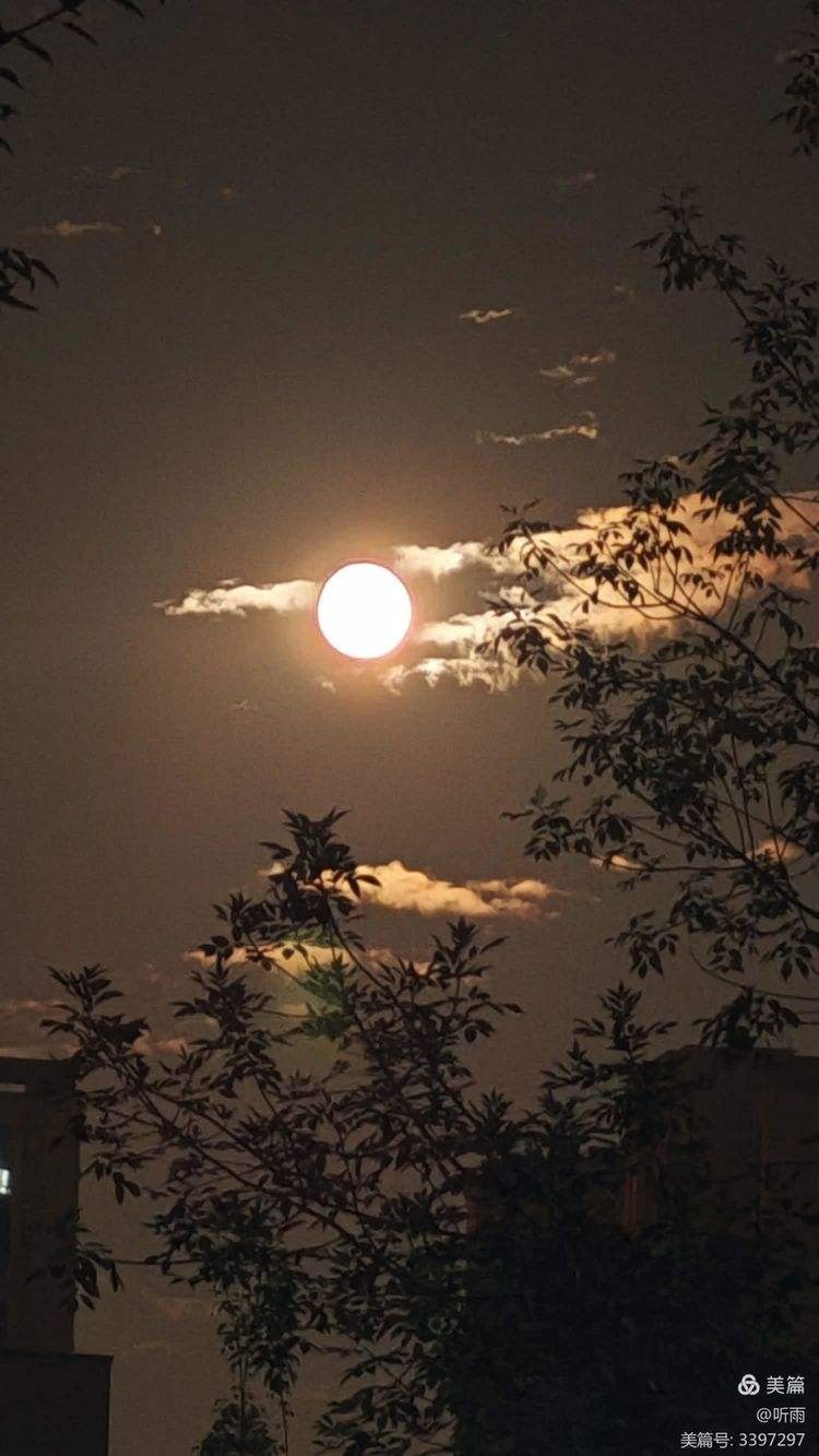 十五的月亮十六圆