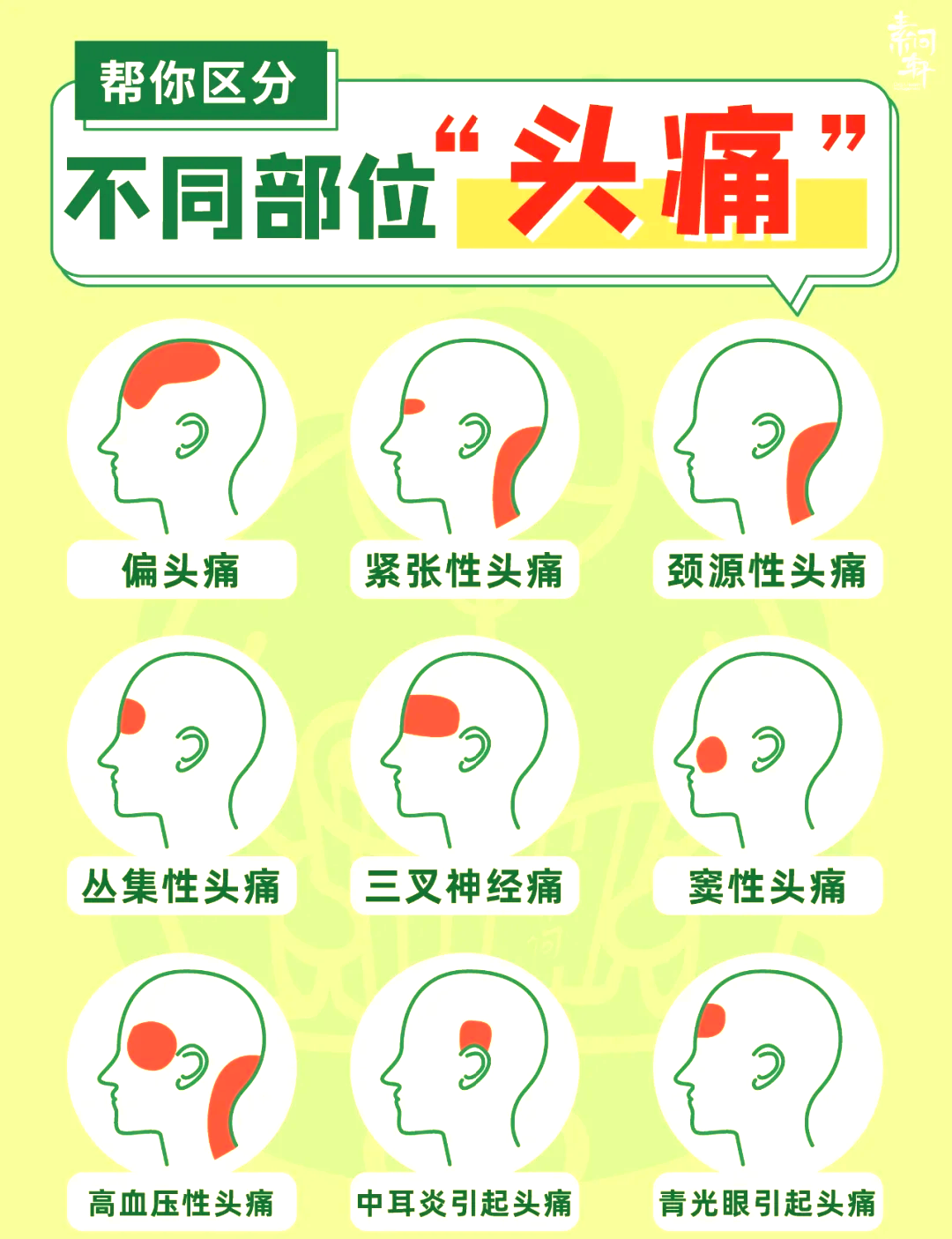 头部哪个位置最脆弱图