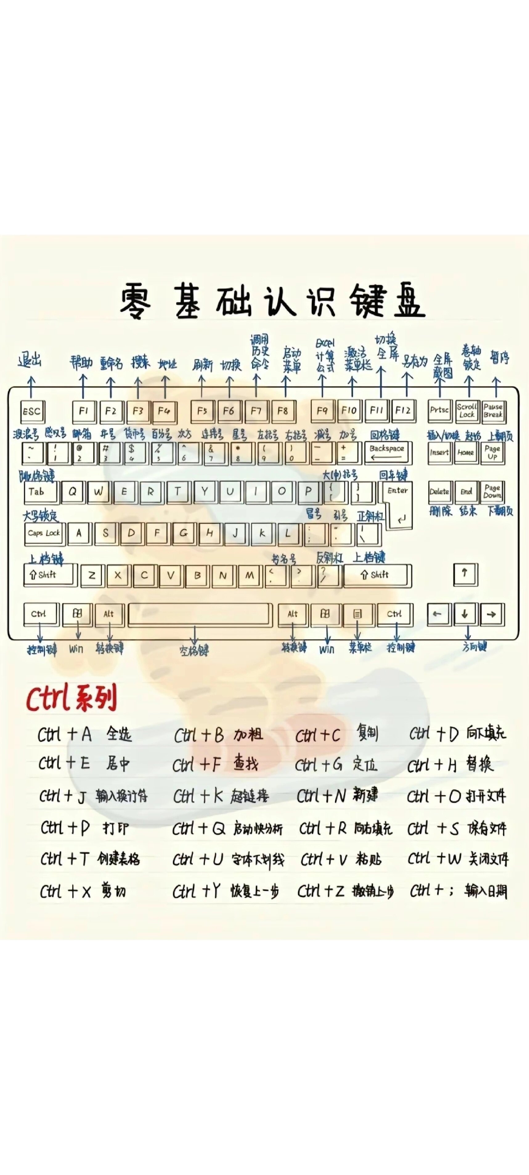 怎样记得键盘字母位置