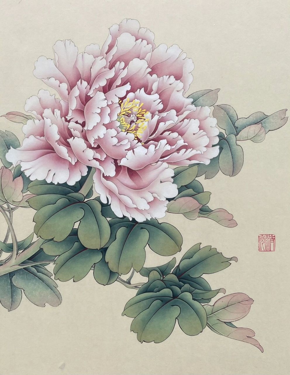 胭脂粉红牡丹一幅,设色娇嫩典雅,附上步骤图 好久没画工笔了,分享一幅 牡丹画