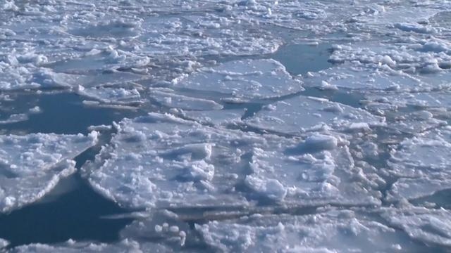 辽东湾海冰