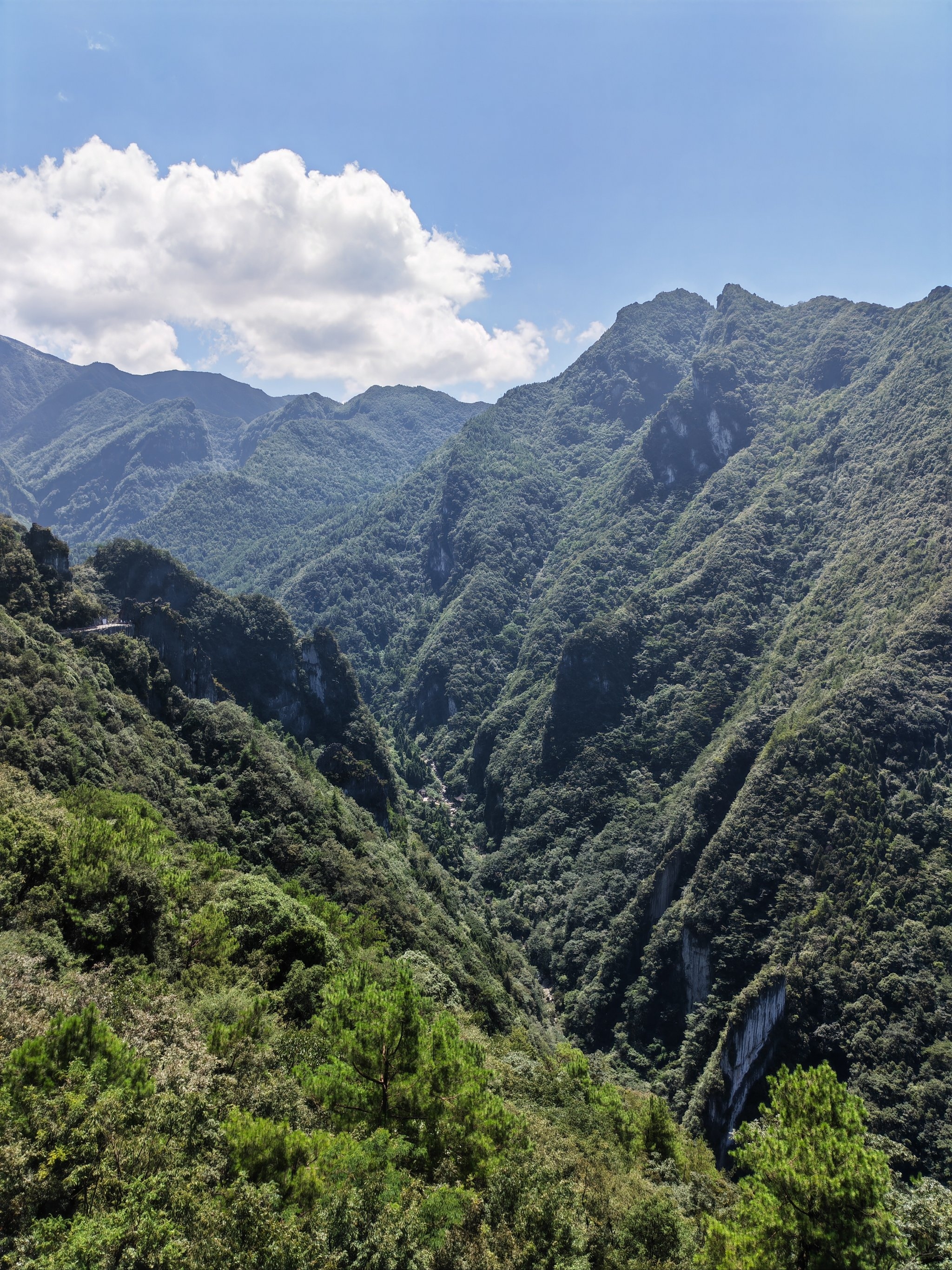 武陵山国家森林公园