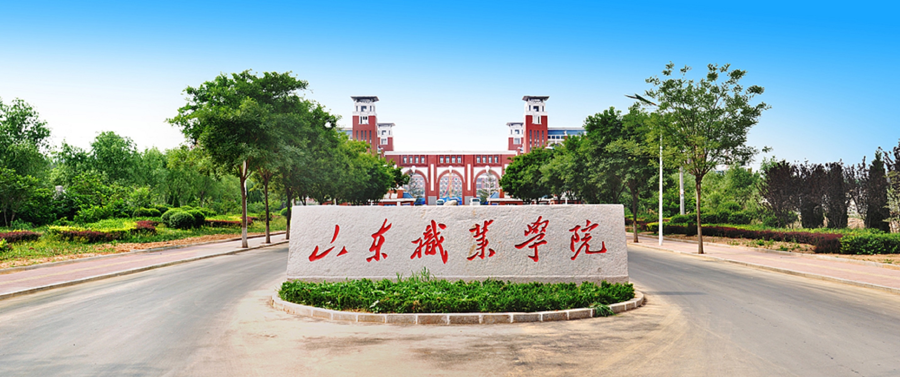 山职