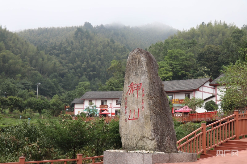 神山村