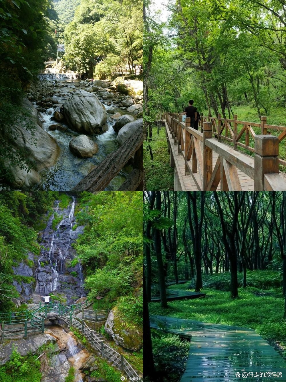 那就来石家庄的南山森林公园!这里是大自然的怀抱,是心灵的避风港. 石家庄森林公园