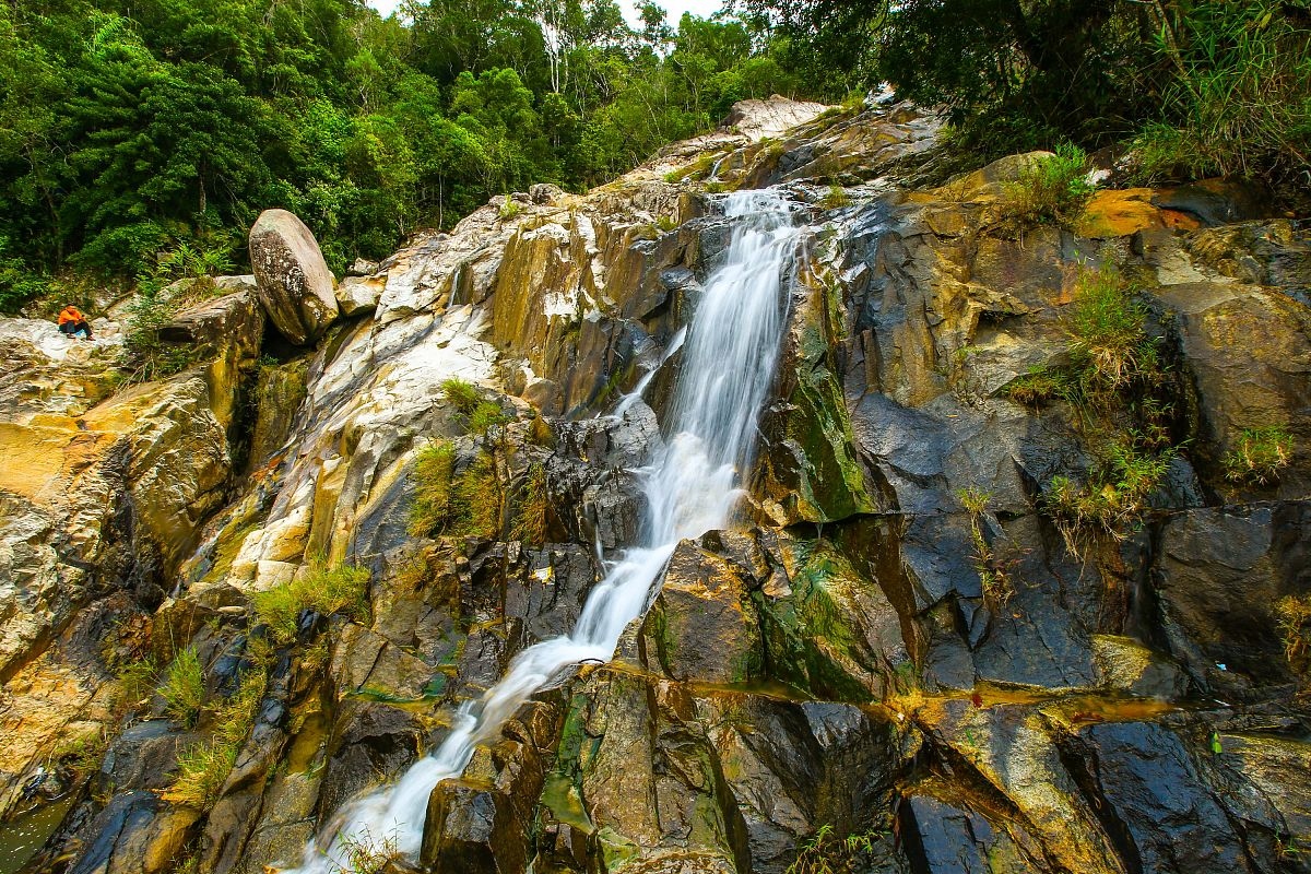 昌江霸王岭:海南最后的原始森林奇遇记 霸王岭森林公园
