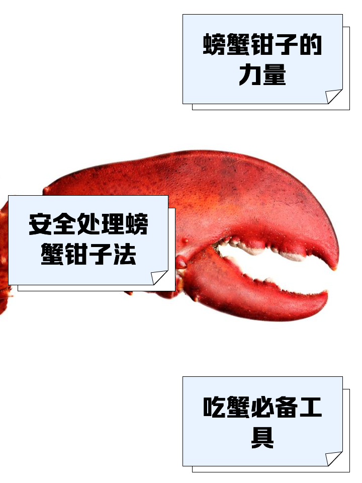 螃蟹的钳子 螃蟹尼尼的大钳子续写