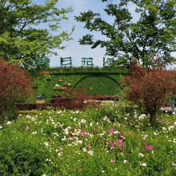 碧云花园