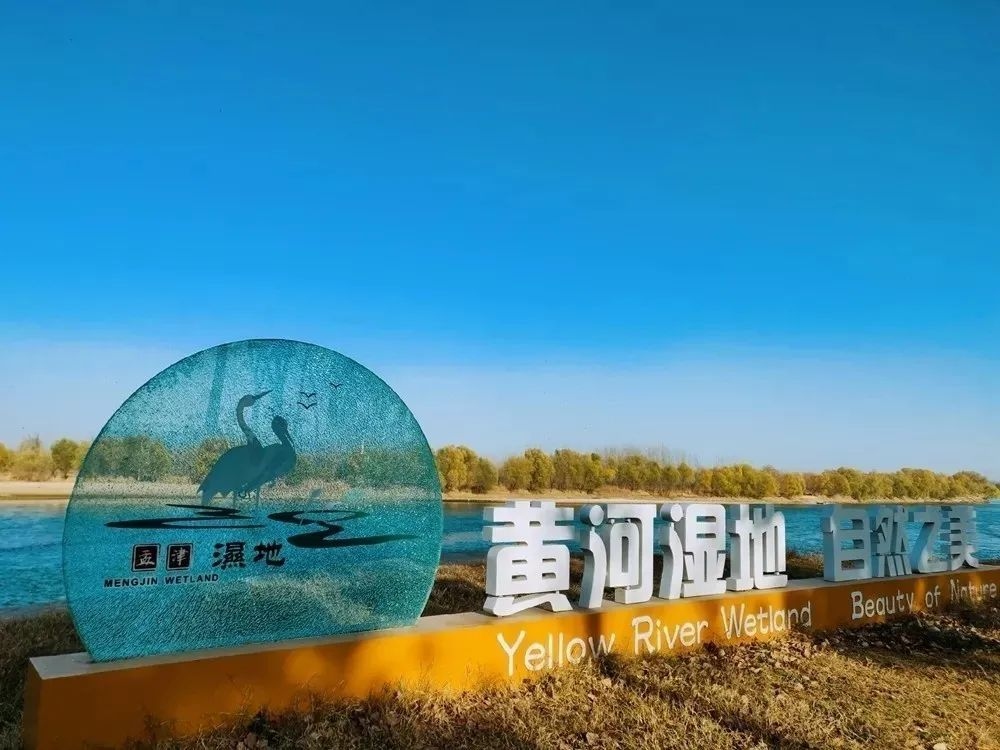 孟津黄河湿地 孟津黄河湿地公园