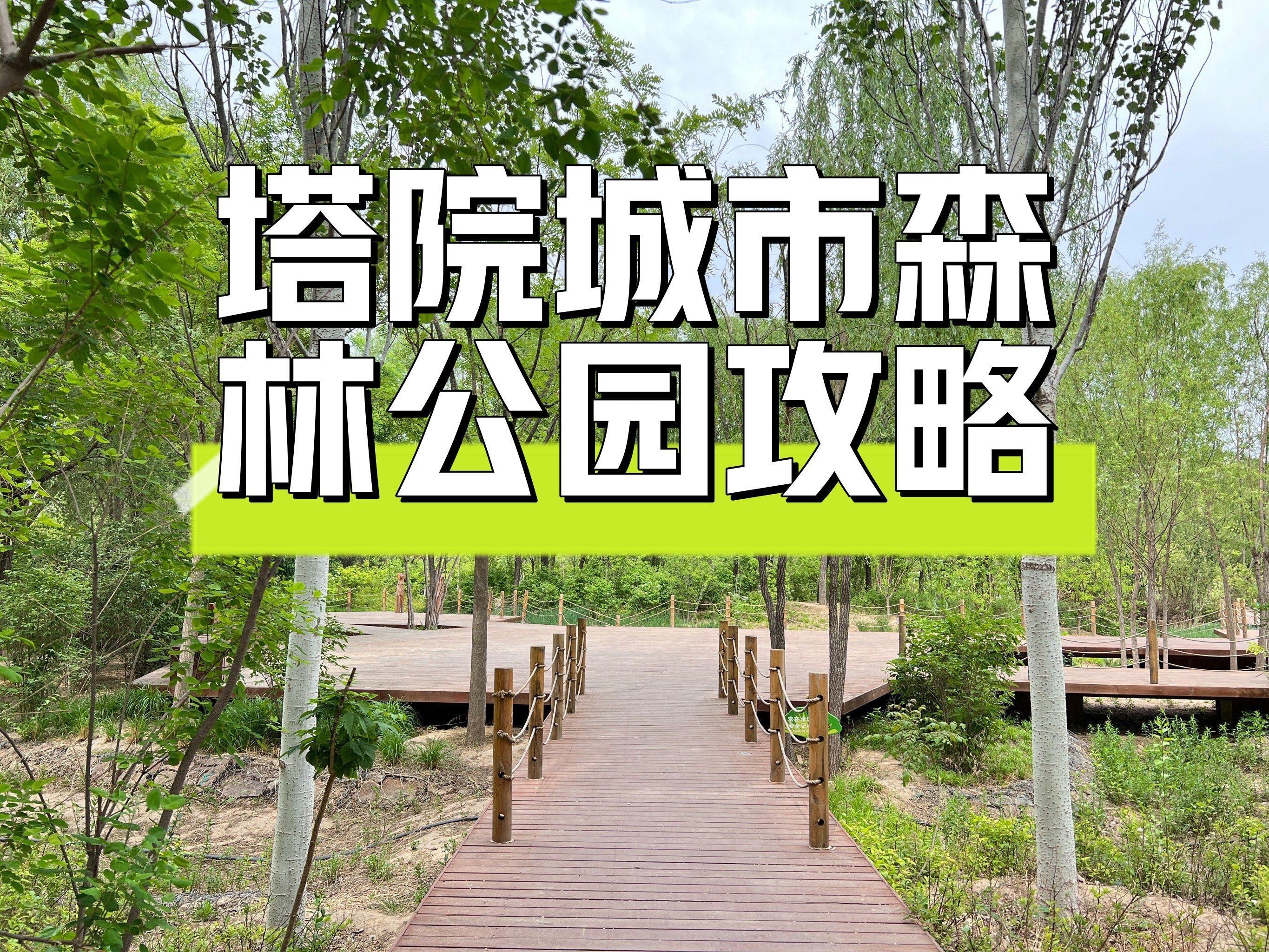 北京塔院城市森林公园,一个充满自然气息的 塔院城市森林公园