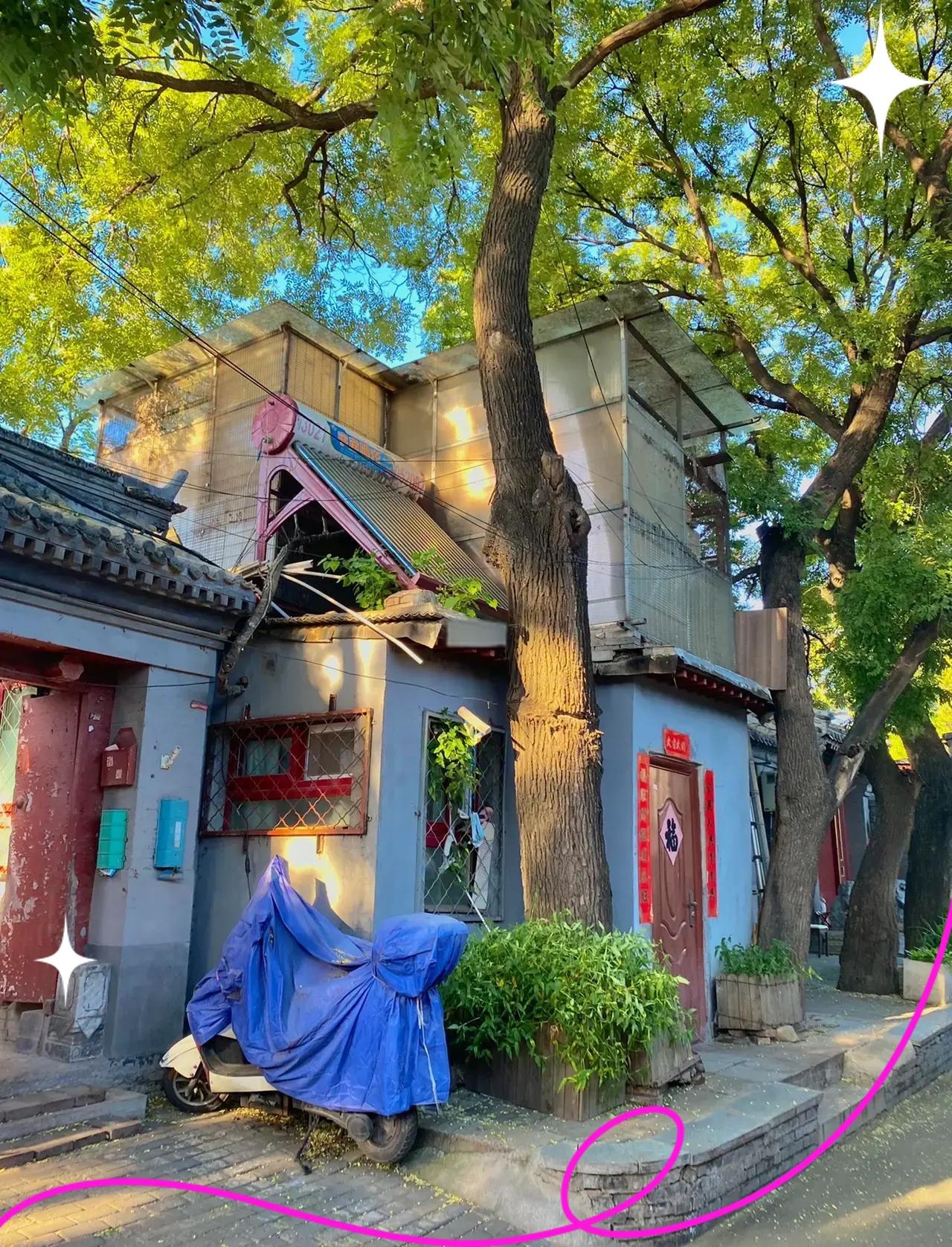 毡子胡同
