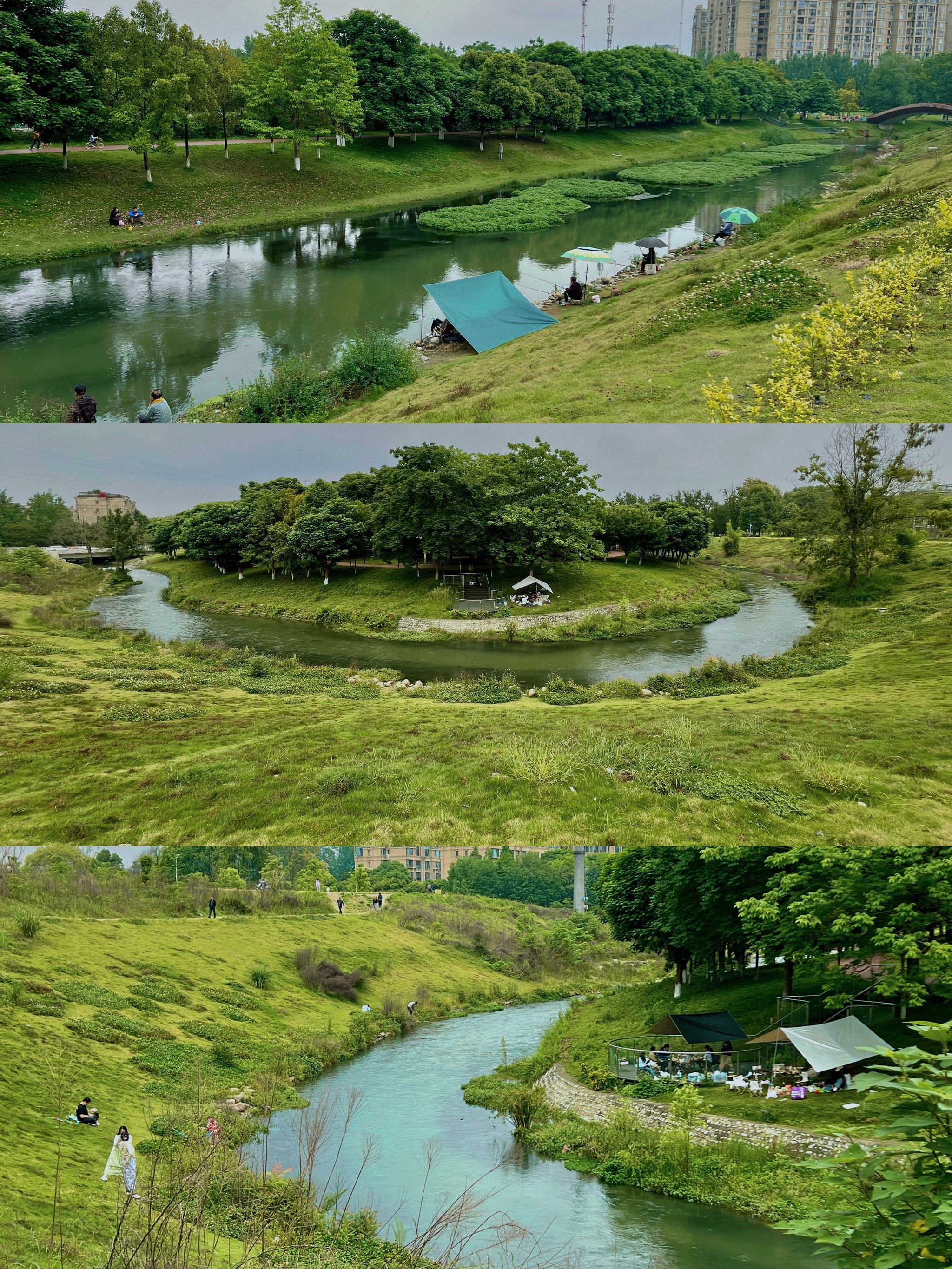 成都两河森林公园 | 城市中的天然氧吧 成都两河城市森林公园