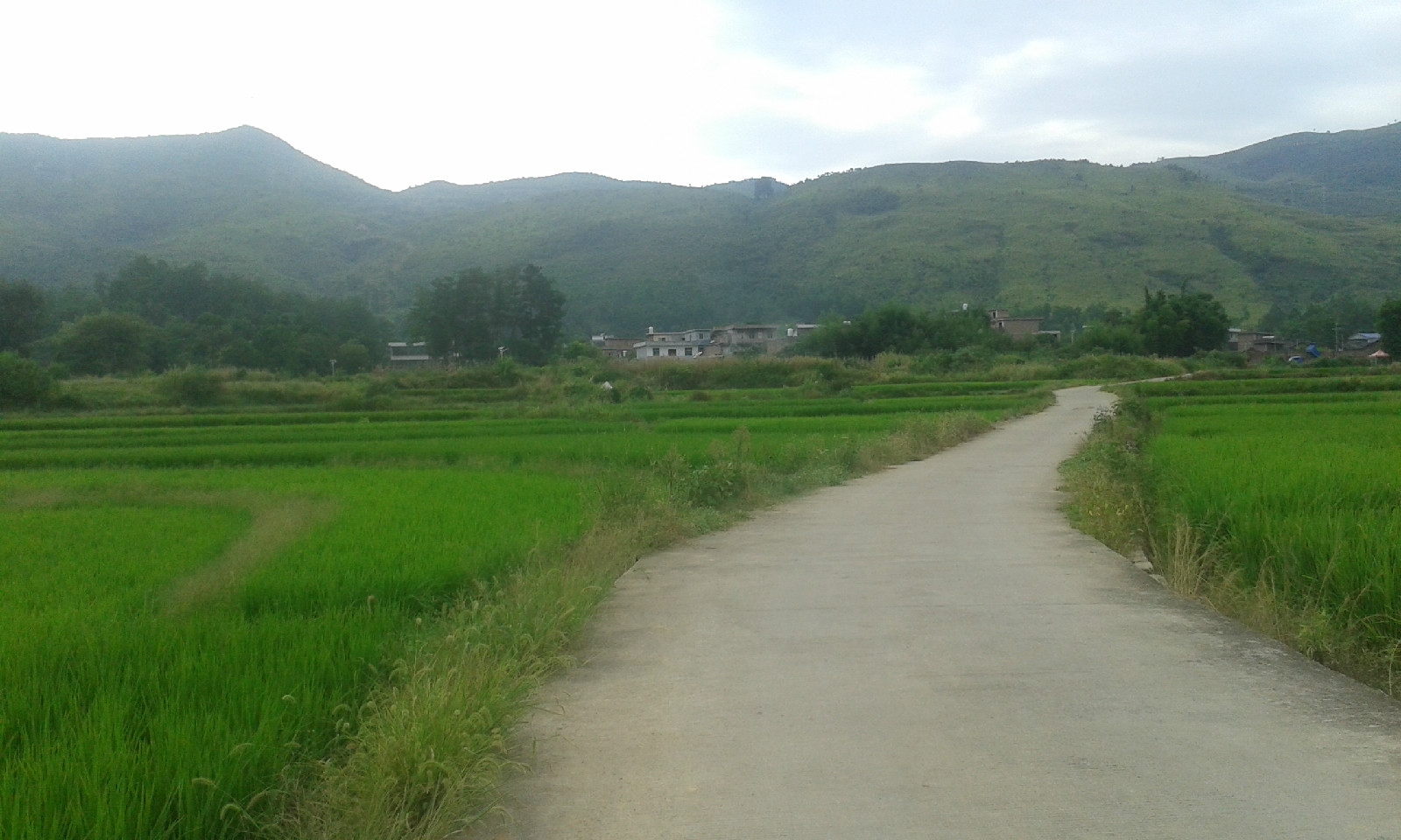 界石村 界石村