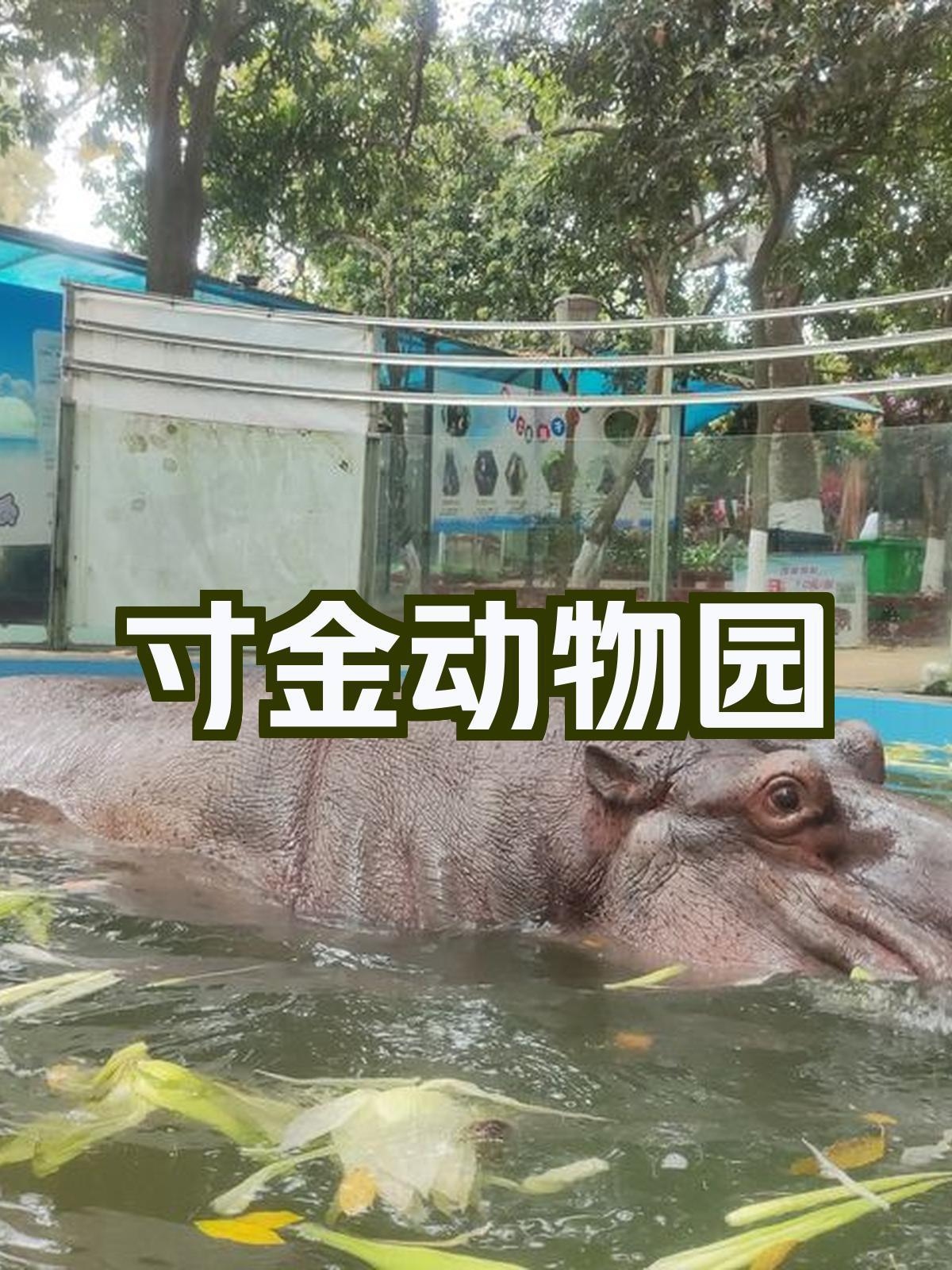 湛江寸金动物园位于湛江市霞山区跃进路95号寸金公园内(东侧),集海狮 寸金公园动物园