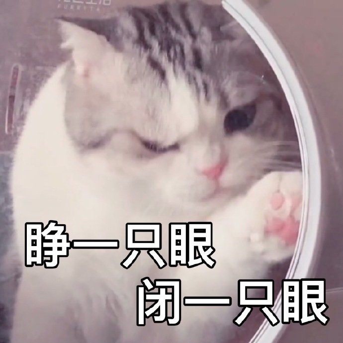 睁只眼闭只眼