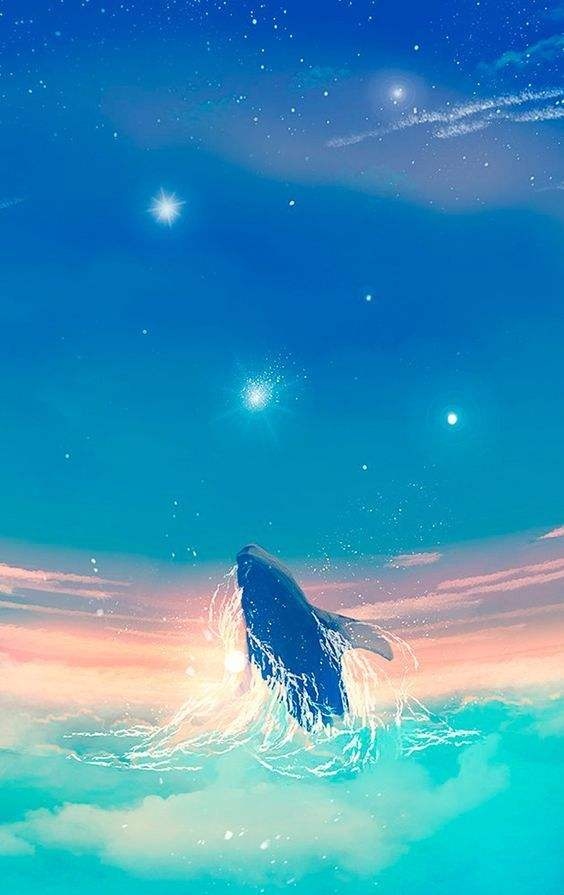 唯美鲸鱼超清壁纸