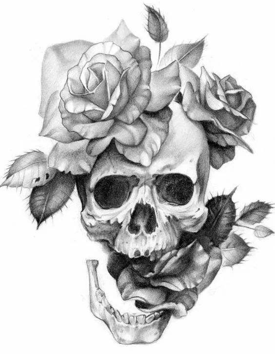 骷髅头素描