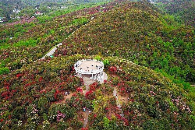 百里杜鹃普底景区