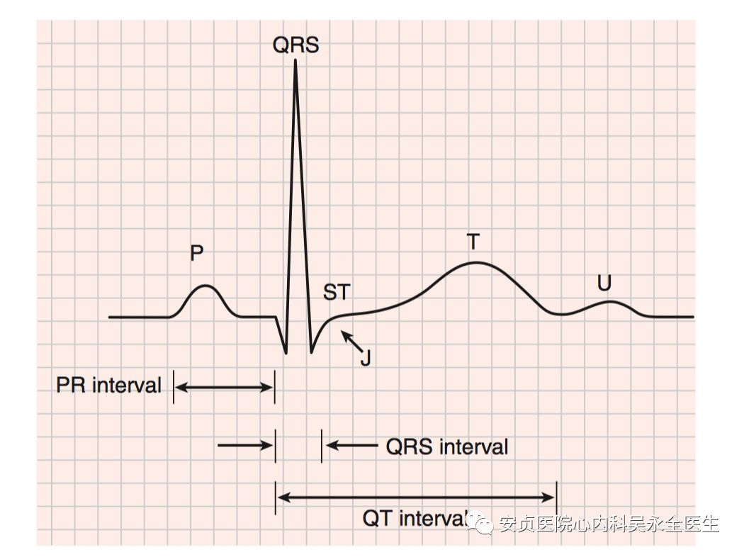 心电散点图的基本概念定义与重要概念 - 心血管 - 天山医学院